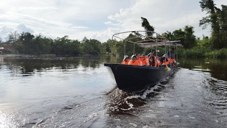 Экскурсия по мангровым зарослям Клиаса, дикой природе и светлячкам